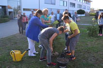 Baumpflanzen Gemeinschaftsschule Barleben