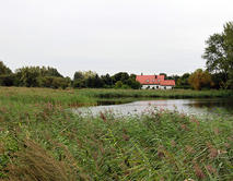 Kleiner_Ententeich_Barleben