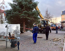 Weihnachtsb�ume_aufstellen