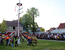 Bild vergr&ouml;&szlig;ern: Maibaumsetzen_Meitzendorf