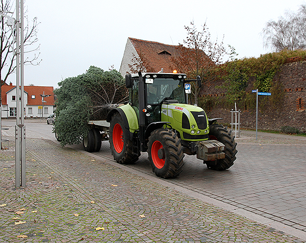 Weihnachtsbaum Barleben Transport