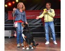 Bild vergr&ouml;&szlig;ern: 960 JF Barleben Hundewettbewerb