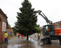 Weihnachtsbaum aufstellen