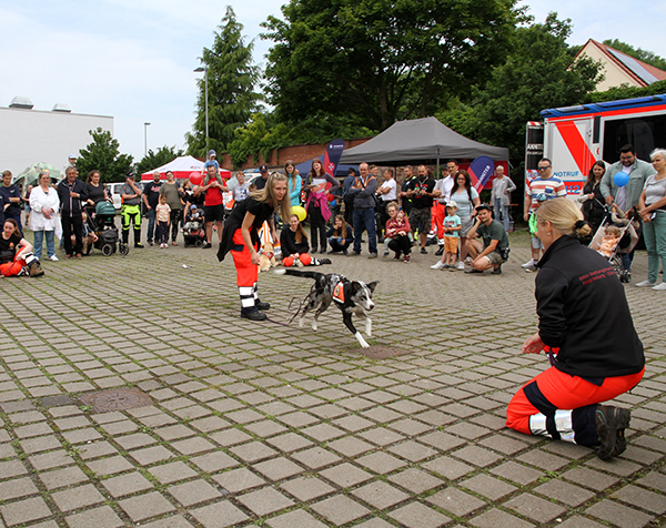 Blaulichttag Vorführung Hundestaffel 