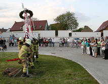 Maibaum_Meitzendorf