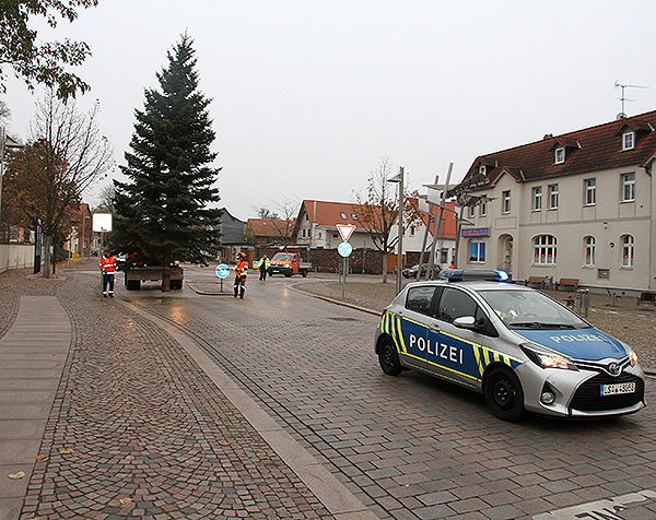 Weihnachtsbaum Barleben 2024