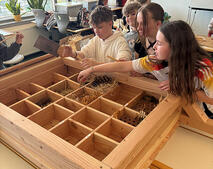 Fr�hlingsfest GMS Insektenhotel