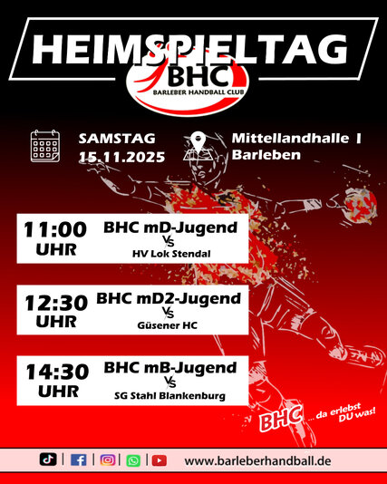 Interner Link: Zur Veranstaltung 08. Heimspieltag des Barleber HC - MLH 1
