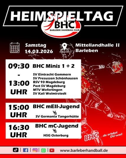 Interner Link: Zur Veranstaltung 19. Heimspieltag des Barleber HC - MLH II