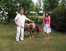 Namensgebung_Pony_Jersleber_See