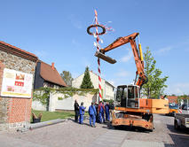 Bild vergr&ouml;&szlig;ern: 2015_04_30_Maubaum_Barleben
