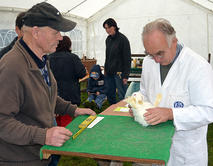 Kaninchen-Tischbewertung