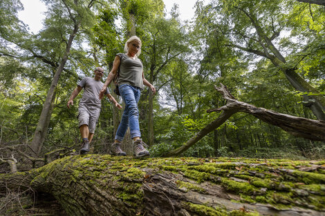 Bild vergr&ouml;&szlig;ern: Lindenwald Colbitz