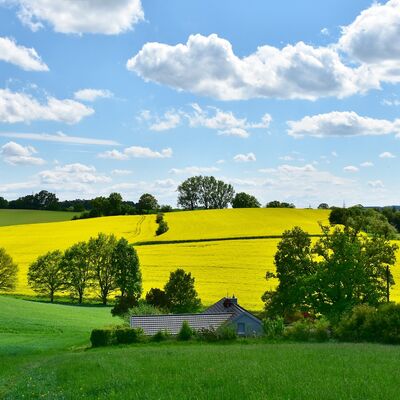 Bild vergr&ouml;&szlig;ern: landscape-3369304_1920