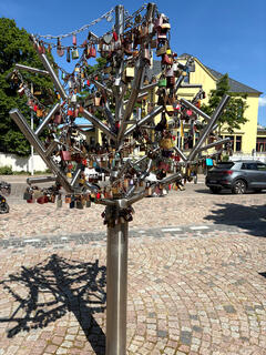 Bild vergr&ouml;&szlig;ern: Liebesschl�sserbaum Totale