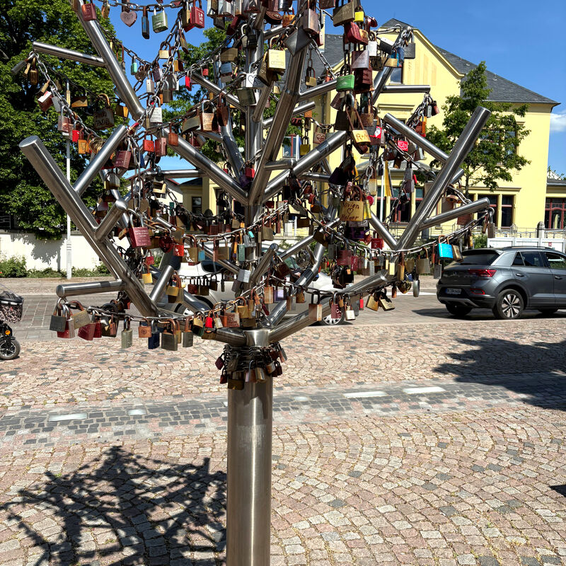 Bild vergr&ouml;&szlig;ern: Liebesschl�sserbaum Totale