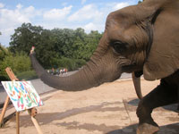 Zoo